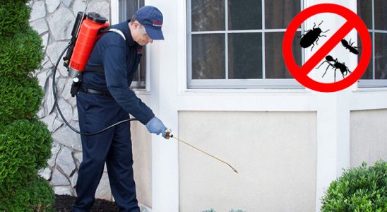 Silivri Bit İlaçlama böcek ilaçlama ve haşere kontrolü — ilaclama-tr.com